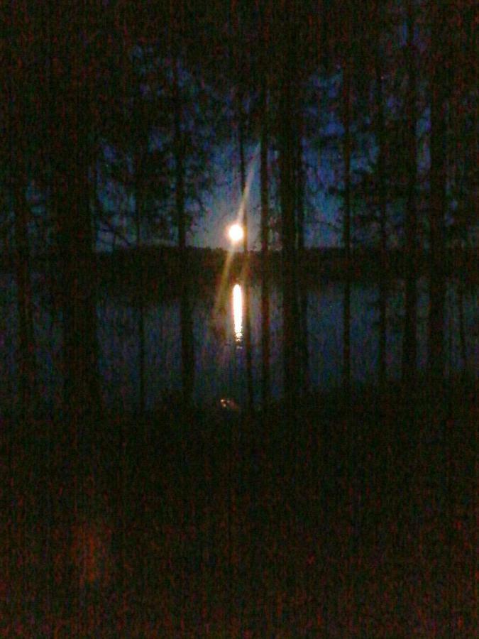 Villa Nina Luikonlahti Exteriör bild